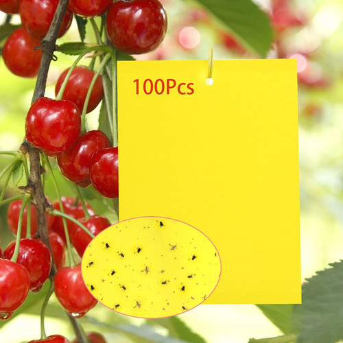 100 lavagne adesive per - lavagne,